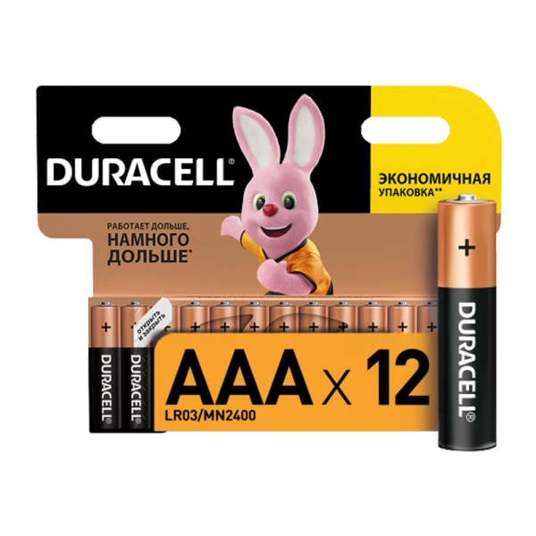 Батарейка Duracell Basic LR03 AAA BL12 Alkaline 1.5V (12/144/48960)