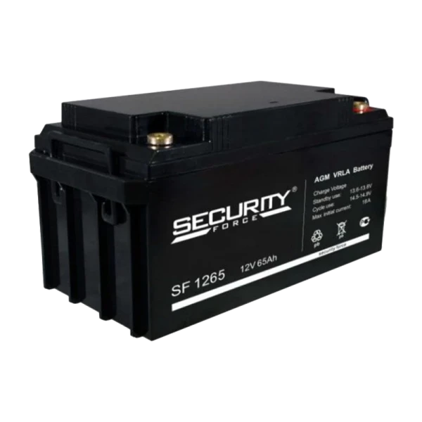 Аккумулятор свинцово-кислотный Security Force SF 1265 12V 65Ah