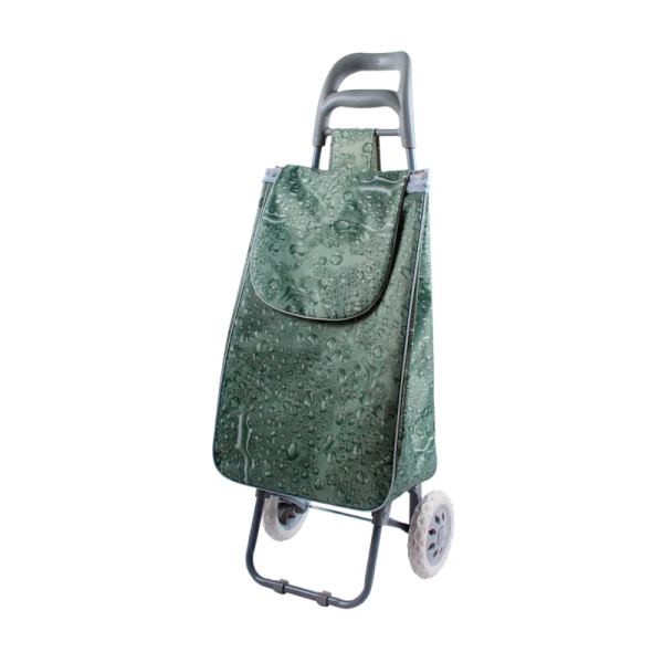 Тележка Рыжий кот "Aqua" A204 30кг с сумкой зеленый (1/10)