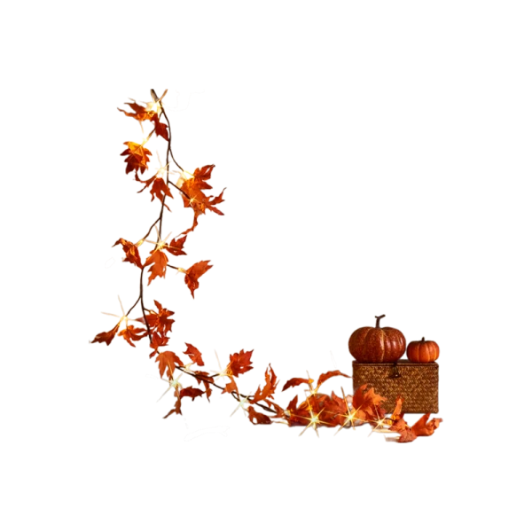 Гирлянда Космос Ветвь кленовая 24LED 1,8м 6ч таймер белый теплый (1/28)