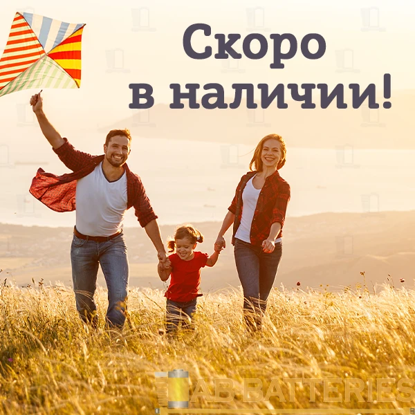 Батарейка GoPower R03 AAA Shrink 2 Heavy Duty 1.5V (2/60/1200)