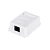 Розетка Atcom 1 порт накладная (UTP, RJ45, Кат.5e, белая)