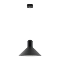 Светильник потолочный Camelion PL-602L Rome 40W 230V E27 подвес черный