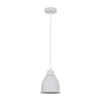 Светильник потолочный Camelion PL-430S-1 LOFT 60W 230V E27 IP20 подвес белый (1/12)