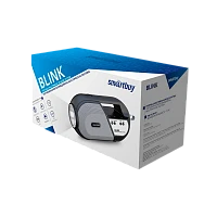 Портативная колонка Smartbuy BLINK bluetooth 5.0 SD FM черный (1/50)