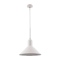 Светильник потолочный Camelion PL-602L Rome 40W 230V E27 подвес белый