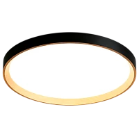 Светильник настенно-потолочный Camelion LBS-7740 70W LED с пультом (1/5)