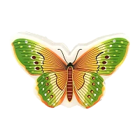 Ночник Camelion NL-239 "Бабочка" 1LED 0.5W 220V в розетку зеленый (1/18/72)