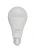 *Лампа светодиодная Старт GLS E27 20W 6500К 220V груша Eco матовая (1/10/100) 