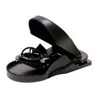 Крысоловка большая (1/50)