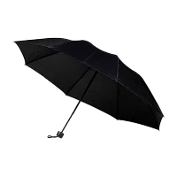 Зонт Рыжий кот BASIC складной механический черный (1/10)