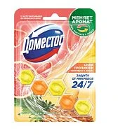 Блок для очищения унитаза Domestos Power 5 сила тропиков (1/9)