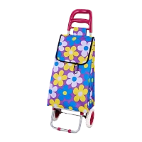 Тележка Рыжий кот "Васильки" A204 30кг с сумкой разноцветный (1/10)