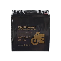 Аккумулятор для мототехники GoPower AMT-1250 12V 5Ah клеммы под болт M5 (1/10)
