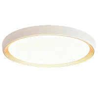 Светильник потолочный Camelion LBS-8002 56W LED смена цветовой температуры (1/10)