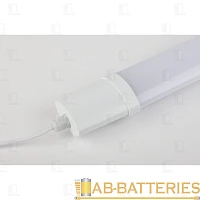 Светильник линейный ЭРА SPP-3-40-6K-M-L 36W 170-260V SMD IP65 белый (1/10)