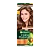 Краска для волос GARNIER Color Naturals 110мл 6 Лесной орех (1/12)