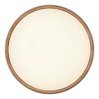 Светильник настенно-потолочный Camelion LBS-7738 80W 230V LED IP20 500мм с пультом (1/10)