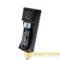 Зарядное устройство ROBITON MasterCharger 1B/plus