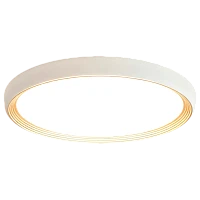 Светильник настенно-потолочный Camelion LBS-8003 70W LED смена цветовой температуры (1/5)