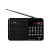 Радиоприемник Perfeo PALM 3W пластик microSD USB/Jack3.5 черный (1/10)