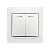 Выключатель Smartbuy 2-клавишный с индикатором 10А белый, керамика "Венера"