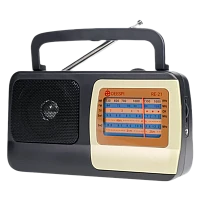 Радиоприемник DEESPI RE-21/408 пластик AM/FM/SW1-2/TV черный (1/40)