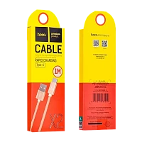 Кабель HOCO X2 USB (m)-Type-C (m) 1м 2.1A нейлон золотой (1/30/300)