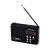 Радиоприемник Perfeo SV922 SOUND RANGER 3W пластик microSD USB/Jack3.5 черный