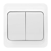 Выключатель Smartbuy 2-клавишный 10А белый "Марс" (SBE-02w-10-SW2-0)