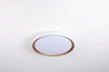 Светильник настенно-потолочный Camelion LBS-8004 70W LED смена цветовой температуры (1/5)