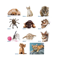 Коврик для мыши Defender Silk 230x190x1.6мм ассорти (1/20/200)