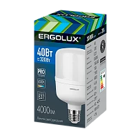 Лампа светодиодная Ergolux HW E27 40W 6500К 150-270V цилиндр матовая