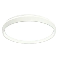Светильник настенно-потолочный Camelion LBS-8001 70W LED (1/5)