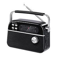 Радиоприемник Defender Vega 5W пластик microSD bluetooth 5.3 черный (1/9)