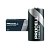 Батарейка Duracell Procell CONSTANT LR14 C BOX10 Alkaline 1.5V (10/100)