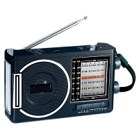 Радиоприемник DEESPI S1206 пластик Jack3.5 черный (1/40)