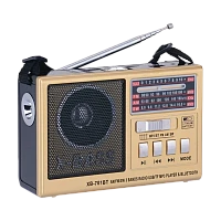 Радиоприемник Waxiba XB-701ВТ пластик microSD USB/Jack3.5 золотой (1/40)
