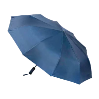 Зонт Рыжий кот Classic складной автомат синий (1/10/60)