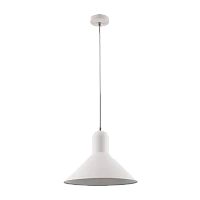 Светильник потолочный Camelion PL-602L Rome 40W 230V E27 подвес белый
