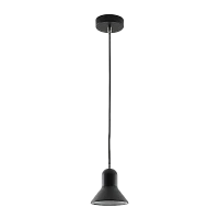 Светильник потолочный Camelion PL-602S Rome 40W 230V E27 подвес черный (1/12)