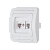 Розетка интернет Makel Mimoza 2гн. белый MAKEL 12036 (1/12)