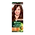 Краска для волос GARNIER Color Naturals 110мл 4 Каштан (1/12)