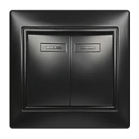 Выключатель Smartbuy 2-клавишный с индикатором 10А черный, "Венера"