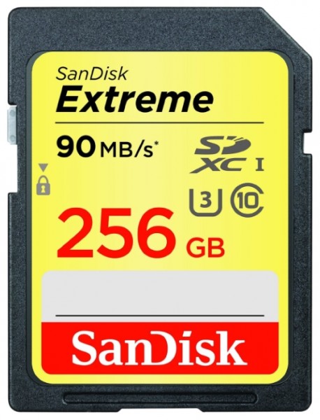 Карта памяти SD SanDisk EXTREME 256GB Class10 UHS-I (U3) 90 МБ/сек