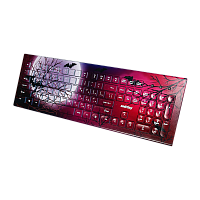 Клавиатура проводная Smartbuy 223 Moon классическая USB 1.5м мультимед. черный (1/20)