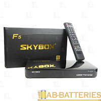 Приставка для цифрового ТВ Skybox Т9000pro DVB-T/T2 металл черный (1/60)