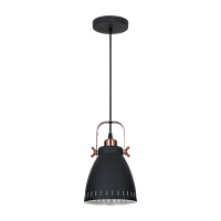 Светильник потолочный Camelion PL-428S-1 New York 40W 230V E27 подвес черный медный (1/12)