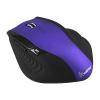Мышь беспроводная Smartbuy 613AG классическая USB фиолетовый черный (1/40)