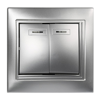 Выключатель Smartbuy 2-клавишный с индикатором 10А серебро, "Венера"